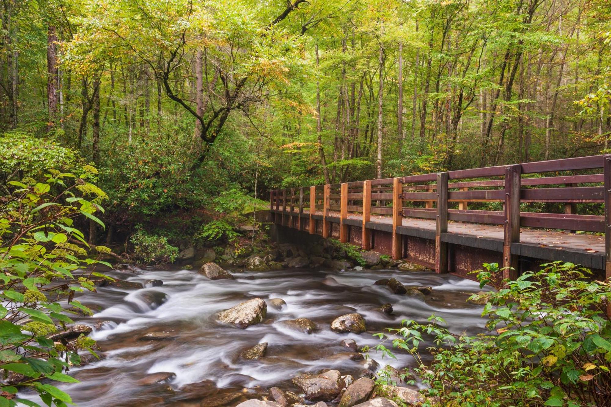 Magical Moments, Hot Tub, Wifi, 1089 Free Tickets Each Paid Day, Dollywood And More Gatlinburg Exteriér fotografie