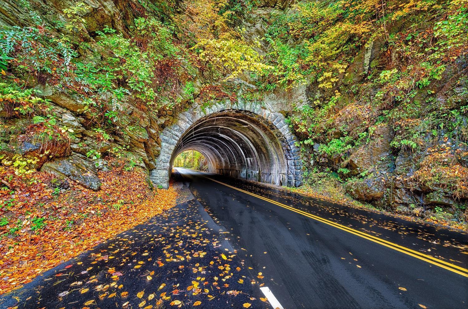Magical Moments, Hot Tub, Wifi, 1089 Free Tickets Each Paid Day, Dollywood And More Gatlinburg Exteriér fotografie